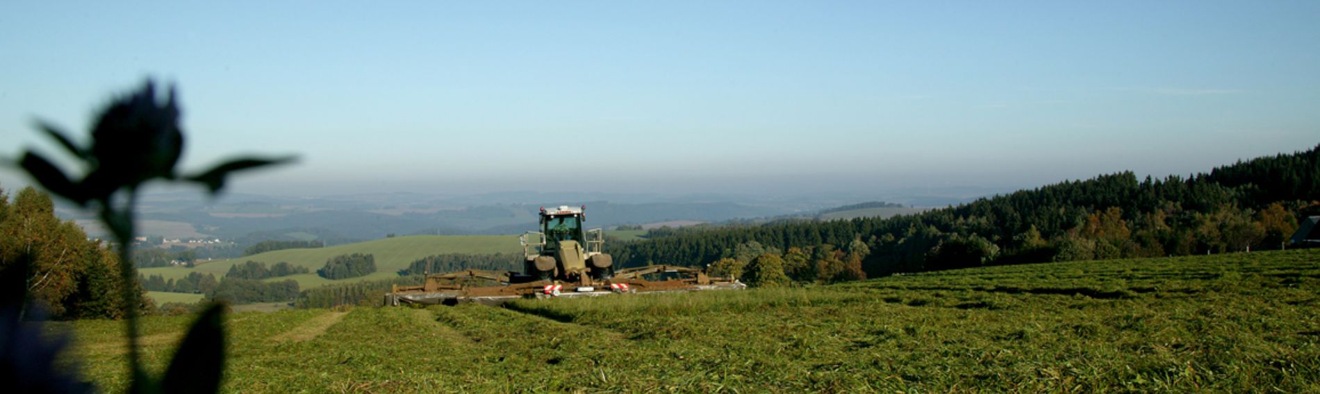 maehen schmal