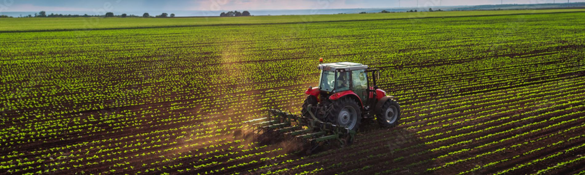 landwirtschaft
